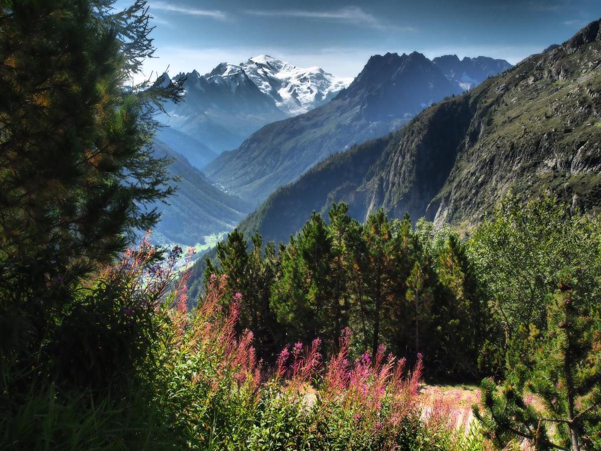 Bellevue Centre, Wifi, Mountain View Apartment Les Carroz d'Araches Luaran gambar