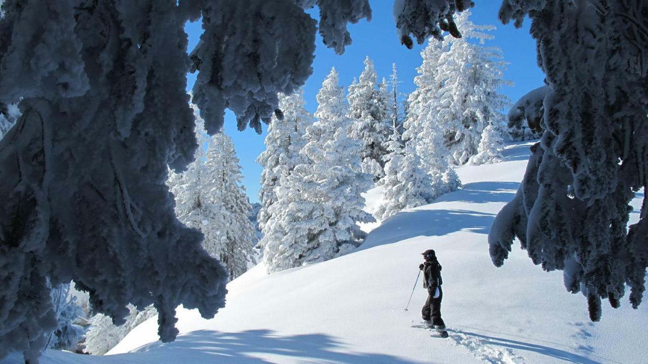 Bellevue Centre, Wifi, Mountain View Apartment Les Carroz d'Araches Luaran gambar